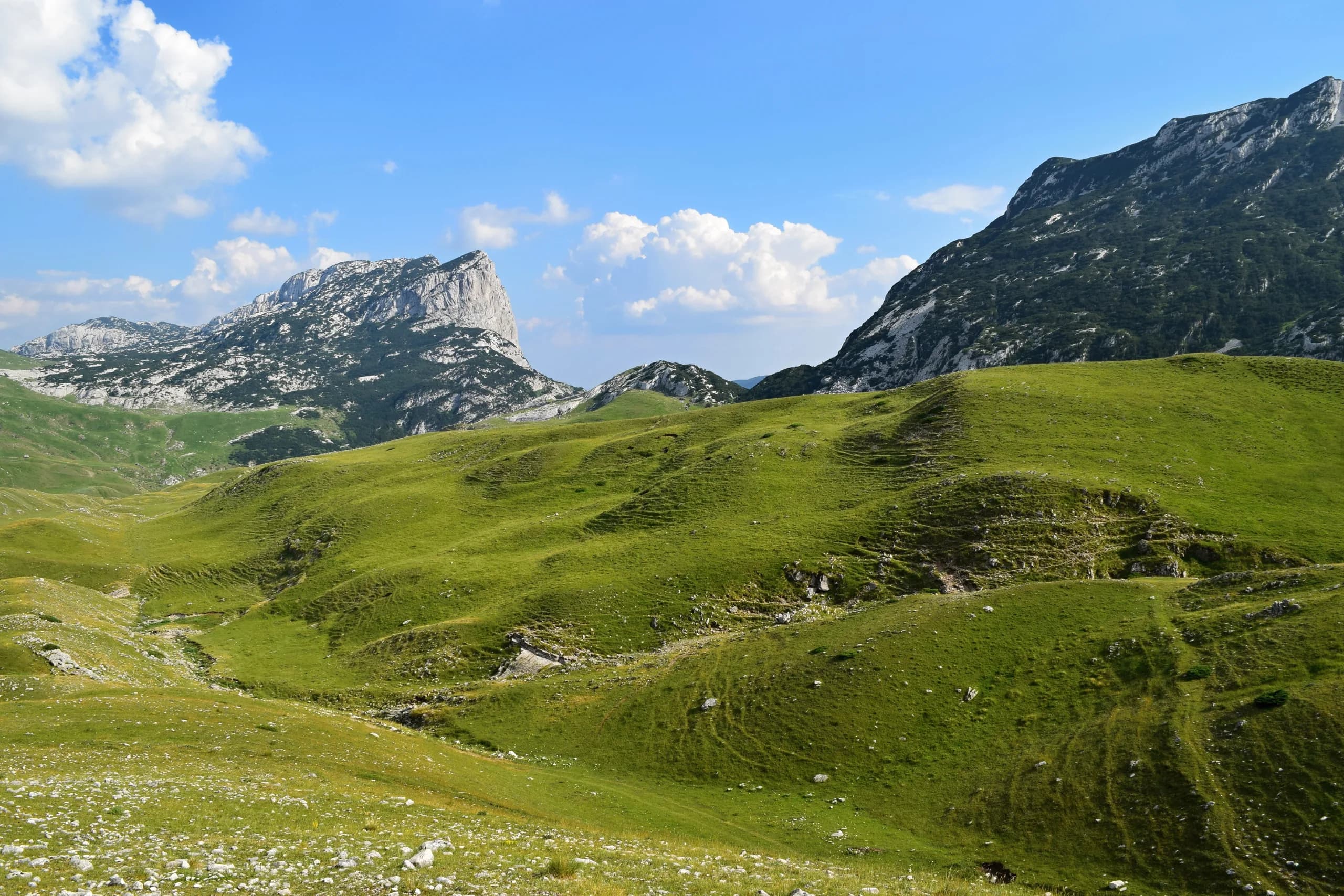 NP Durmitor