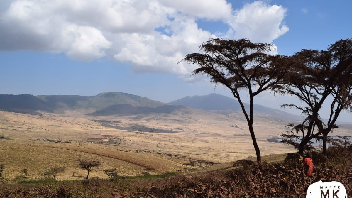 NP Ngorongoro