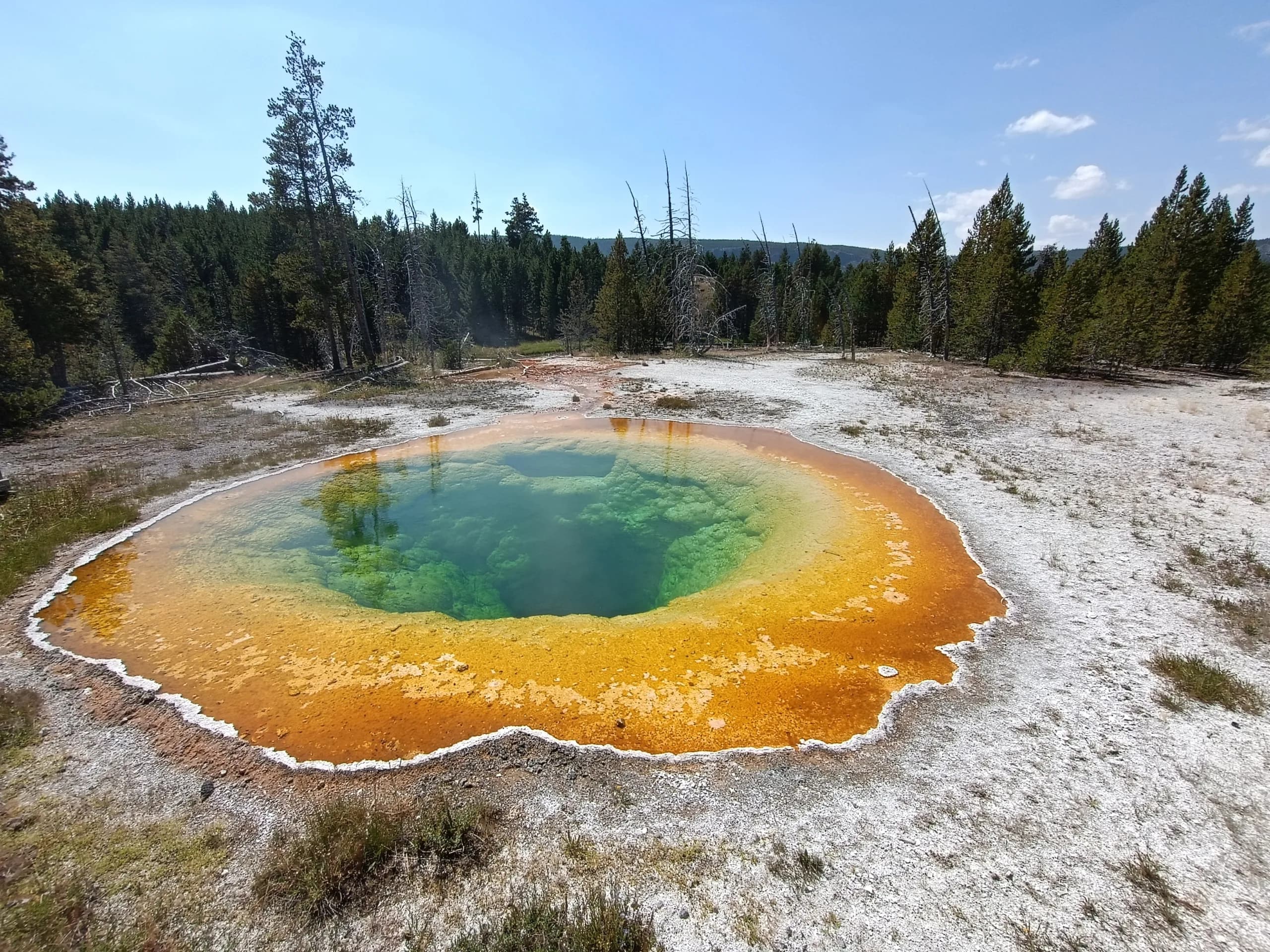 NP Yellowstone