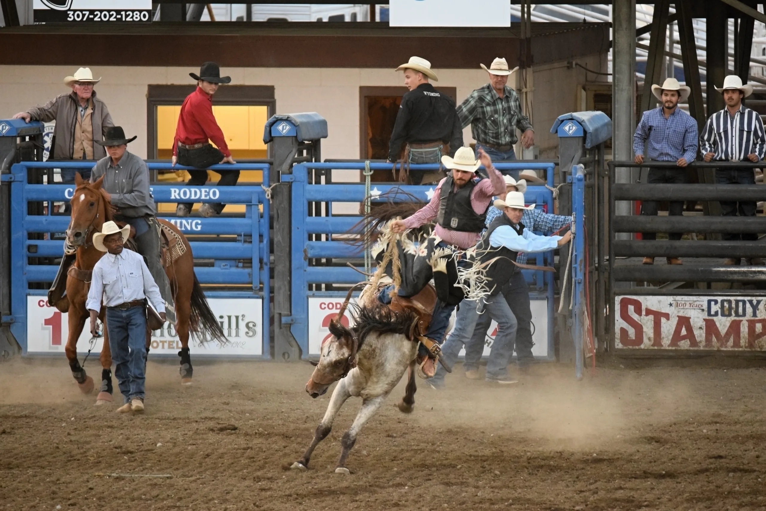 Rodeo v Cody